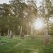 Fathom graveyard shift