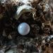 marin-tulard-unsplash